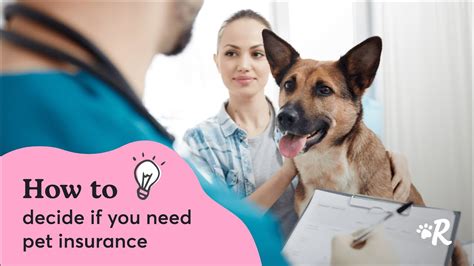 pet insurance waiting period waived.